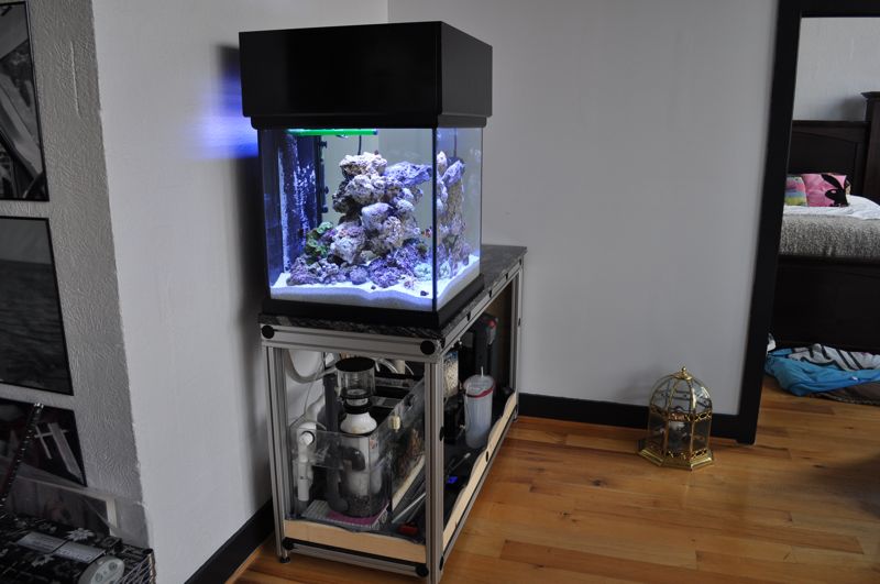 t slot aquarium stand