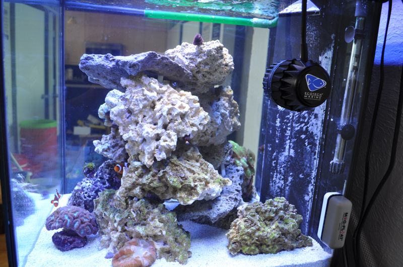 What is the best way to glue your live rock?  REEF2REEF Saltwater and Reef  Aquarium Forum