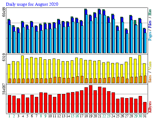 Daily usage for August 2020