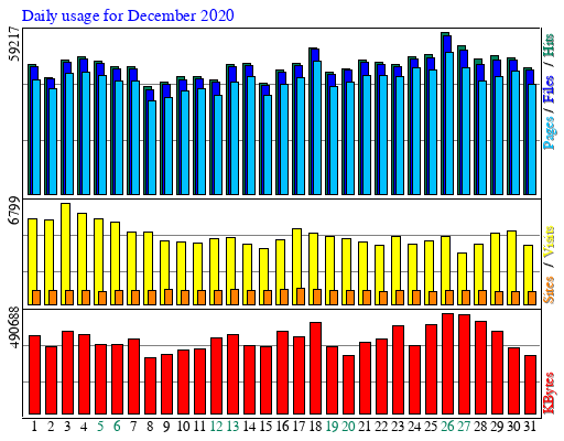 Daily usage for December 2020