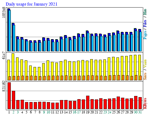 Daily usage for January 2021