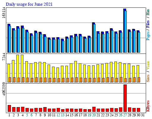 Daily usage for June 2021