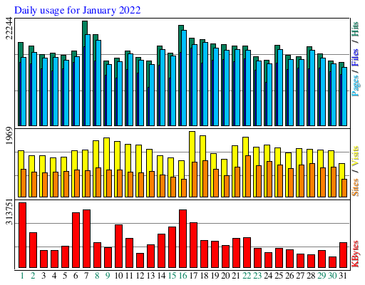 Daily usage for January 2022