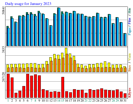 Daily usage for January 2023