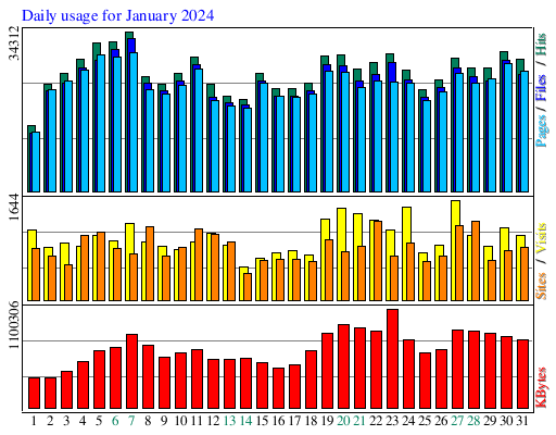 Daily usage for January 2024