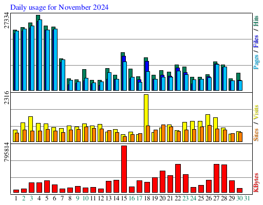 Daily usage for November 2024