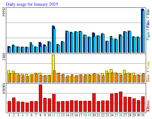 Daily usage for January 2025
