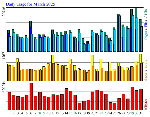 Daily usage for March 2025