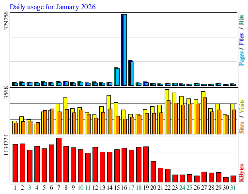 Daily usage for January 2026