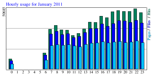 Hourly usage for January 2011