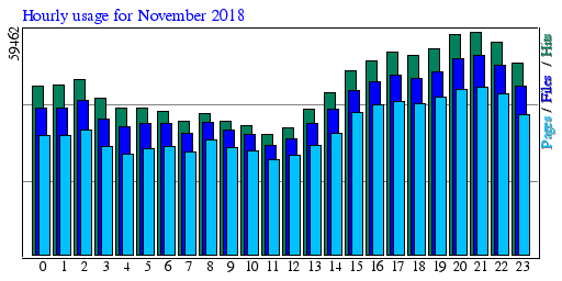 Hourly usage for November 2018