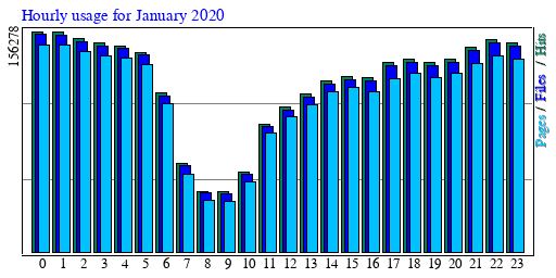 Hourly usage for January 2020