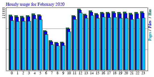 Hourly usage for February 2020