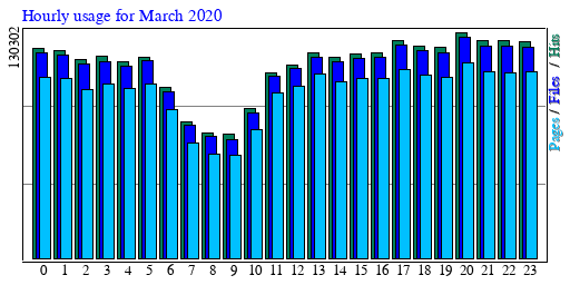 Hourly usage for March 2020