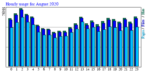Hourly usage for August 2020