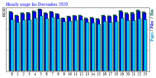 Hourly usage for December 2020