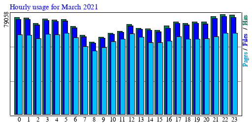 Hourly usage for March 2021