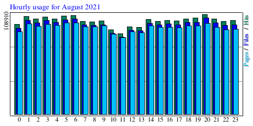 Hourly usage for August 2021