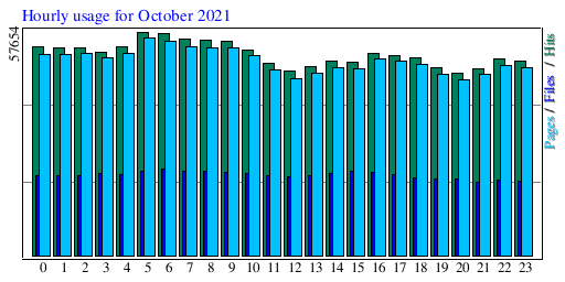 Hourly usage for October 2021