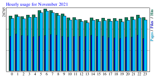 Hourly usage for November 2021