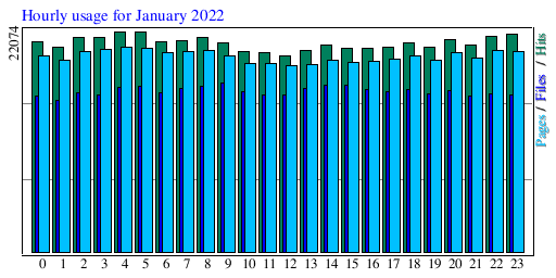 Hourly usage for January 2022