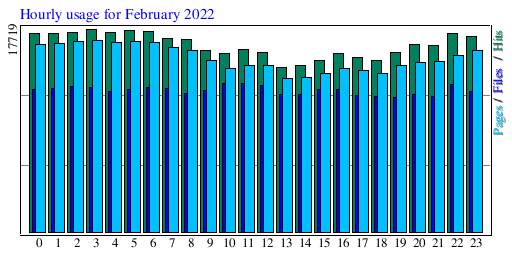 Hourly usage for February 2022