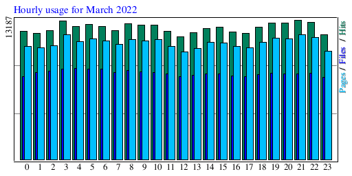 Hourly usage for March 2022