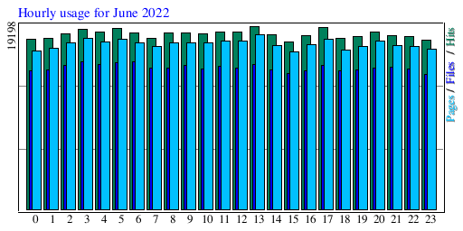 Hourly usage for June 2022