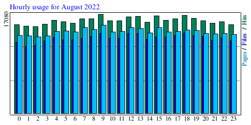Hourly usage for August 2022