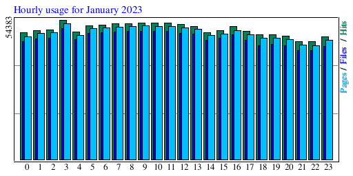 Hourly usage for January 2023