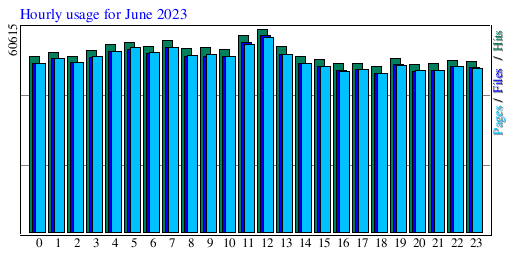 Hourly usage for June 2023