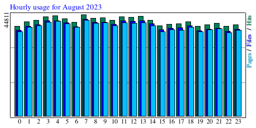 Hourly usage for August 2023