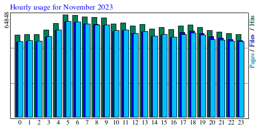 Hourly usage for November 2023