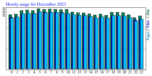 Hourly usage for December 2023