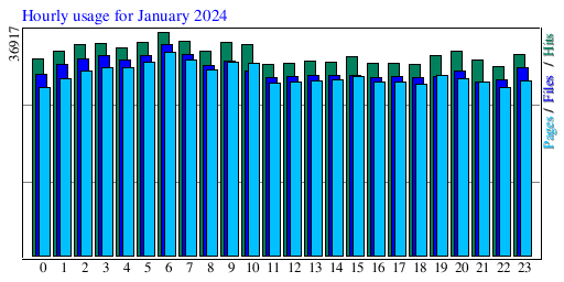 Hourly usage for January 2024