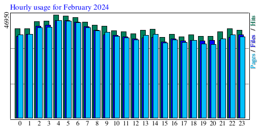 Hourly usage for February 2024