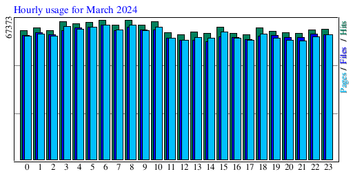 Hourly usage for March 2024