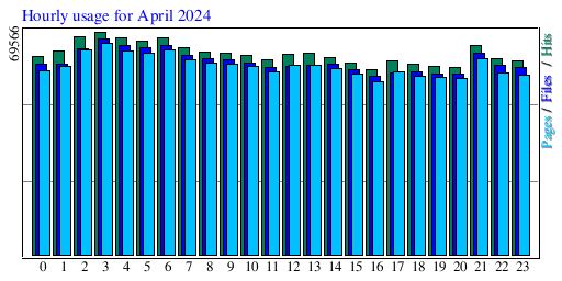 Hourly usage for April 2024