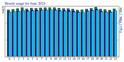 Hourly usage for June 2024