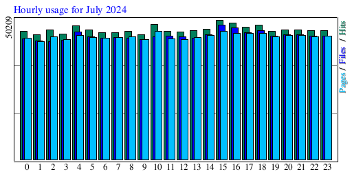 Hourly usage for July 2024