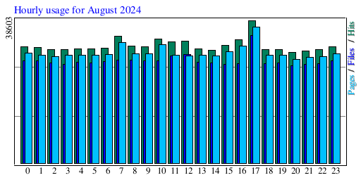 Hourly usage for August 2024