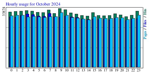 Hourly usage for October 2024