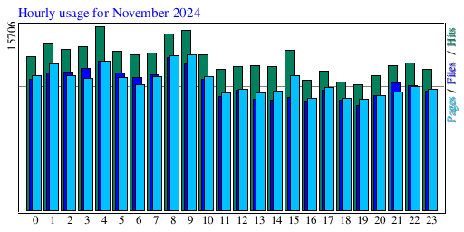 Hourly usage for November 2024