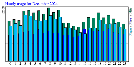 Hourly usage for December 2024