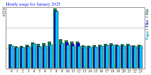 Hourly usage for January 2025