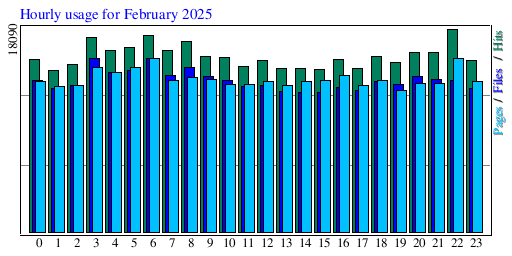 Hourly usage for February 2025