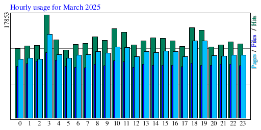 Hourly usage for March 2025