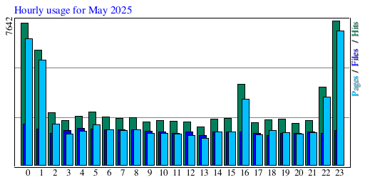 Hourly usage for May 2025