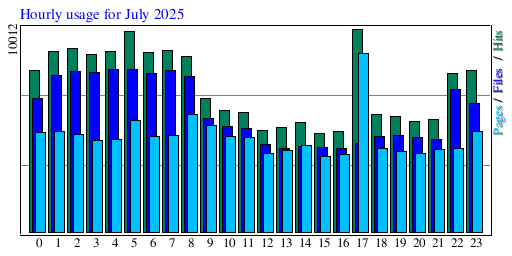 Hourly usage for July 2025