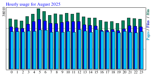 Hourly usage for August 2025